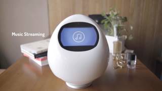 Tapia a talk robot companion on Indiegogo now [upl. by Ynneh714]