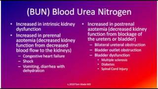 Creatinine BUN and BUNCreatinine [upl. by Ocram]