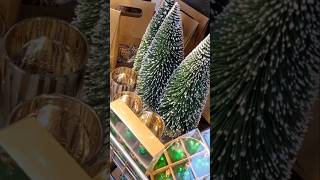 Hornbach Kerst Mini Shoplog 2024🎄 [upl. by Rafaelita718]