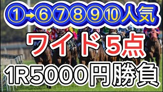 【競馬検証】1番人気→6〜10番人気ワイド各1000円ずつ勝負したら、儲かるのか！？ [upl. by Lion469]