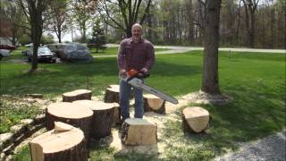 Cutting and Splitting a little firewood with a Stihl MS391 Chainsaw [upl. by Renrew513]