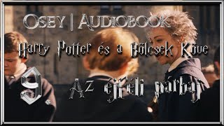 Harry Potter és a Bölcsek Köve hangoskönyv  9 fejezet [upl. by Aldric]