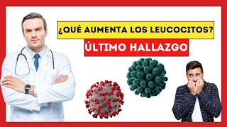 La Conexión Secreta entre Glóbulos Blancos y Enfermedades Fatales [upl. by Ado493]