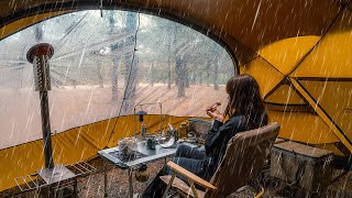 Camping in the Rain  Camping Alone in a pine forest where it rains 24 hours all day [upl. by Ramed854]