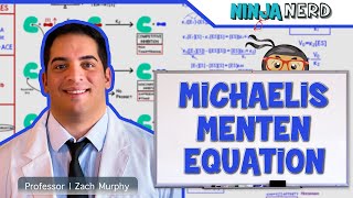 Biochemistry  Michaelis Menten Equation [upl. by Fulmer]