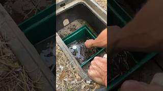 Cleaning the Silt Trap in Spring Box Pt1 🤝🛠💦 diy idaho homestead life spring water [upl. by Ellehcor942]