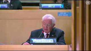 Micro Efforts in Care and Support HE Ambassador BeresfordHill Addresses the ECOSOC [upl. by Normac]