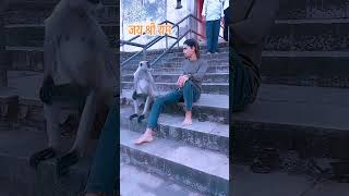 MACAQUINHO FICOU BOLADO [upl. by Winny]