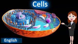 Cells  3D animated explanation  class 9th  the fundamental unit of life [upl. by Goodill767]