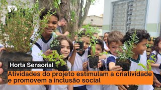 Escola em Pindamonhangaba cria horta sensorial [upl. by Nelan]