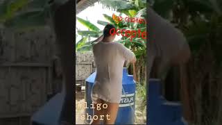 no bra ligo challenge cocomelon tiktok shorts [upl. by Atwahs]