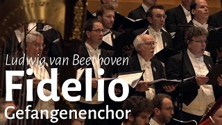 Gefangenenchor  Prisoners Chorus from quotFidelioquot English subtitles Beethoven  Mens Choir MVC [upl. by Airual72]