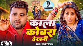 Video  Chandan Chanchal  काला कोबरा देखनी  Kala Cobra  Soumya Pandey  New Bhojpuri Song 2024 [upl. by Aisercal355]