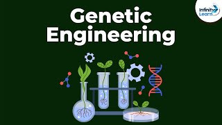 Genetic Engineering  Genetics  Biology  Dont Memorise [upl. by Av300]