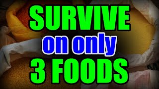 Stockpile ONLY 3 FOODS to SURVIVE – Why this is ALL you NEED [upl. by Phenica911]