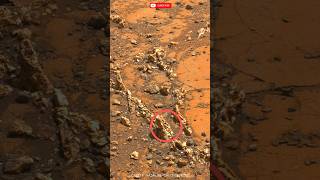 Mars view Curiosity sciencedawn [upl. by Nored]