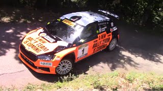 44° Rally del Casentino 2024 [upl. by Tammy]