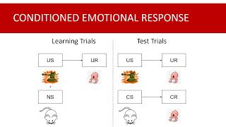 Behaviorist Approach [upl. by Ginsburg]