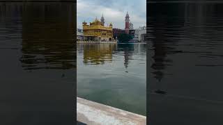 Dhan Shri Guru Ramdas Sahib Ji darbarsahib hukamnamasahib gold trending [upl. by Nialb]