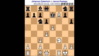 Johannes Zukertort vs James Fewings   Johannes Zukertort Chess Game  chess tal [upl. by Tehr]