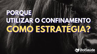 CONFINAMENTO É A MELHOR ESTRATÉGIA [upl. by Bail]