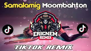 Tiktok Viral  Samalamig Mashup Remix  Dj Ericnem [upl. by Cicely]