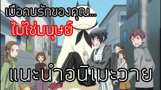 เมื่อคนรักของคุณ ไม่ใช่มนุษย์  แนะนำเมะวาย [upl. by Oner644]