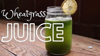 How to Make Wheatgrass Juice [upl. by Humbert]