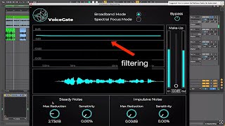 Accentize VoiceGate Intelligent Audio Plugin Review [upl. by Sucy]