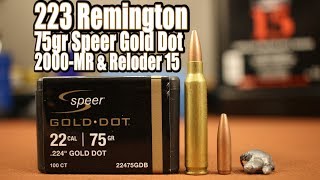 75gr Speer Gold Dot in 223 Remington [upl. by Macnair]