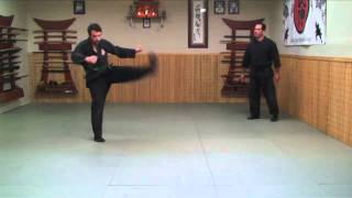 Ninjutsu Training Drill Keri Kicks Ninja Training Video Blog [upl. by Asiuqram921]