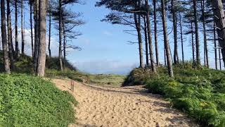 Newborough Forest and Llanddwyn beach Anglesey [upl. by Oicor]