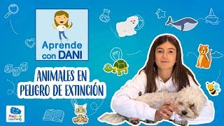 Animales en peligro de extinción Aprende con Dani [upl. by Riggall]