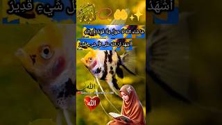 Dubha Uthne Ke Dad Ka Padhne 📿🤲Wala  yaallahﷻ islamicwazifa wazifa share dua shortsfeed yt [upl. by Almeda61]