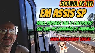 Scanialk111 Em Assis spmais perdido do que o cão que caiu do caminhão de mudança ainda sem carga [upl. by Corsetti]