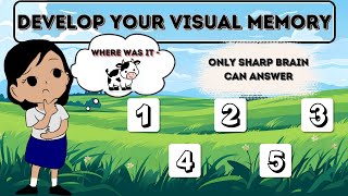 Visual Memory Test [upl. by Doscher467]