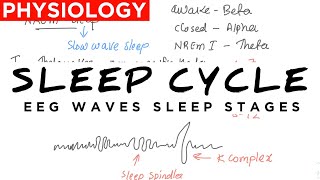 Sleep physiology  Sleep cycle  EEG  sleep centres REM NREM Sleep  explained under 10 minutes [upl. by Ennahgem]