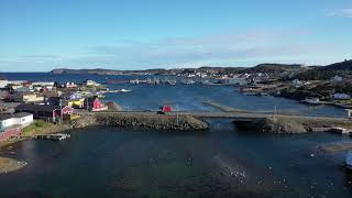 Twillingate drone tour [upl. by Nema]