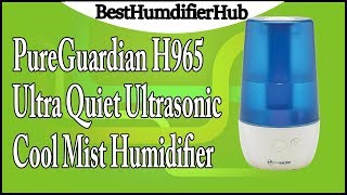 PureGuardian H965 UltraQuiet Ultrasonic Cool Mist Humidifier Review [upl. by Noremac]