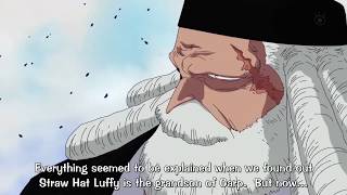 The Gorosei talks about Ruffy and Blackbeard Best of One Piece [upl. by Lamaj]