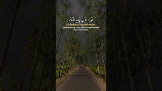 Surah Mulk recitation  tilawat recitation quran quranrecitation surahmulk islamicstatus [upl. by Bocyaj]