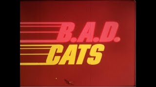 BAD Cats  Pilot 1980  16mm Eastman Print [upl. by Seroled950]