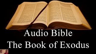 The Book of Exodus  NIV Audio Holy Bible  High Quality and Best Speed  Book 2  The Two Preachers [upl. by Oidivo933]