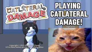 RAGING in Catlateral Damage [upl. by Fruma673]