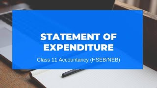 Statement of Expenditure  Grade 11  AccountHSEBNEB [upl. by Ahse]