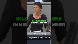 Regierung ignoriert Wähler Nützliche Idioten der Waffenindustrie Sahra Wagenknecht bundestag [upl. by Atnuahc]