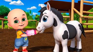 Baby Horse Song New Compilation  Animals Farm Old MacDonald  Nursery Rhymes amp Kids Songs Baby Bobo [upl. by Kelcie]