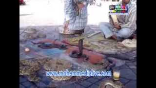 ساحة جامع الفنا مراكش Jemaa El Fna Marrakech [upl. by Bobbye]