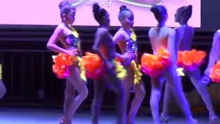 Grupo Profesional Infantil Combinación Rumbera Infantil En Salsa Ladies 2019 [upl. by Prader]