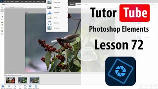 Photoshop Elements Tutorial  Lesson 72  Guided Photomerge Panorama [upl. by Danielle]